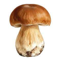 Isolated Mushroom PNG Edible Boletus Fungus Food Organic Delicious