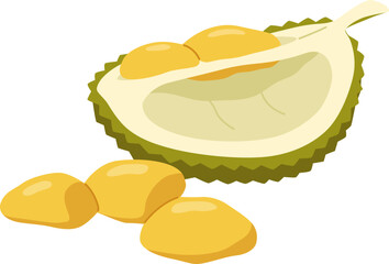 Durian Fruit

