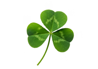 Isolated Shamrock Leaf a Symbol of Luck Transparent Background