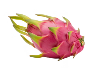 Isolated Transparent Dragon Fruit Fresh Tropical and Delicious