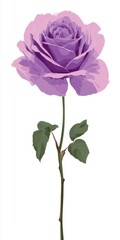 Fototapeta premium Single Lavender Rose with Green Leaves on White Background