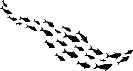 School of Fish Silhouette