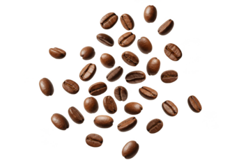 Isolated Transparent Coffee Beans Caffeine Aroma Roasted Brown Drink