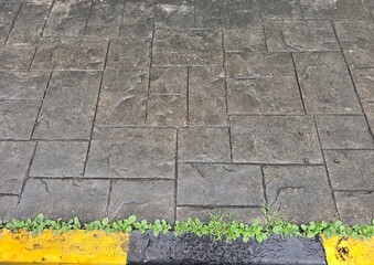 Close-up of a textured concrete pavement with a yellow and black curb and small green plants,...