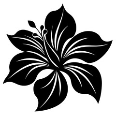 Stylized black hibiscus flower silhouette with delicate white petal lines