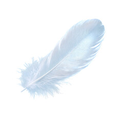 Obraz premium Delicate light blue feather with soft barbs isolated on white background