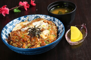 food, japanese cuisine, delicious, family meal