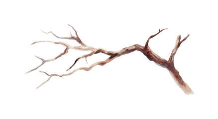 Watercolor illustration of a bare branch isolated on a white background