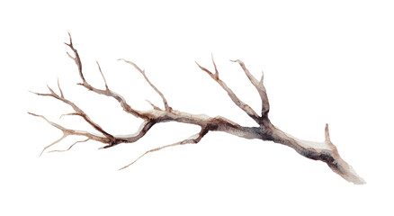 Watercolor illustration of a bare branch isolated on white background