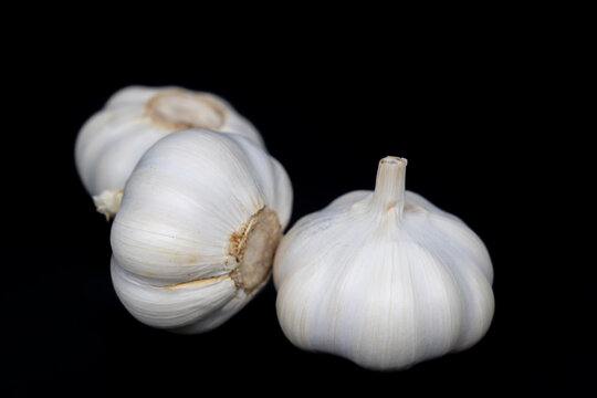 Fresh garlic isolated. Big garlic on black background. White garlic bulb composition. Full depth of field.