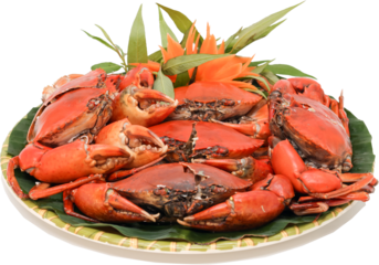 Cooked crab on white plate. Boiled red crabs seasoned.  