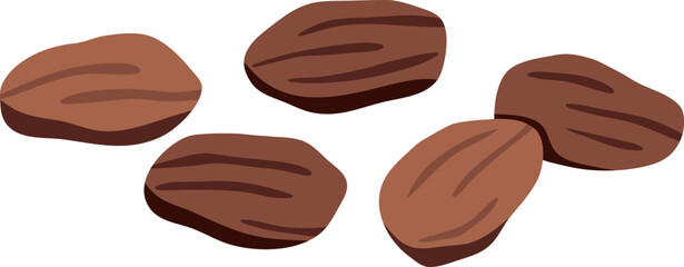Cocoa beans

