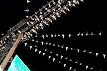 A chaotic web of power lines packed with resting birds under the night sky, forming a surreal pattern of feathers and wires above the quiet street.