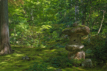 苔むす庭園の石灯籠