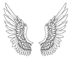 Obraz premium White Angel Wings Isolated Feather Illustration Flight Symbol PNG