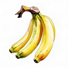 Watercolor style painted bananas. Yellow colored illustration of fruit.