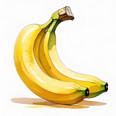 Watercolor style painted bananas. Yellow colored illustration of fruit.