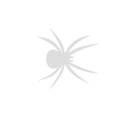 Spider siluet illustration