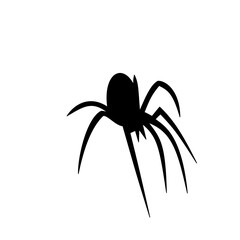 Spider siluet illustration