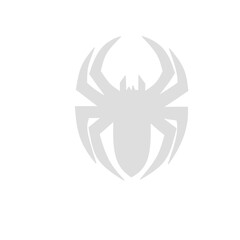 Spider siluet illustration