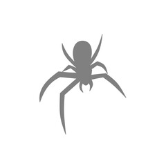 Spider siluet illustration