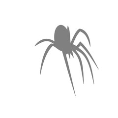 Spider siluet illustration
