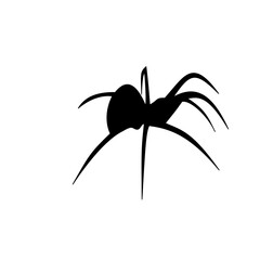 Spider siluet illustration