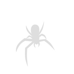 Spider siluet illustration