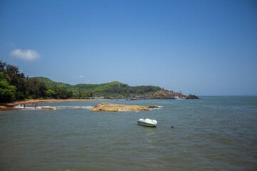 Obraz premium Life on a Water