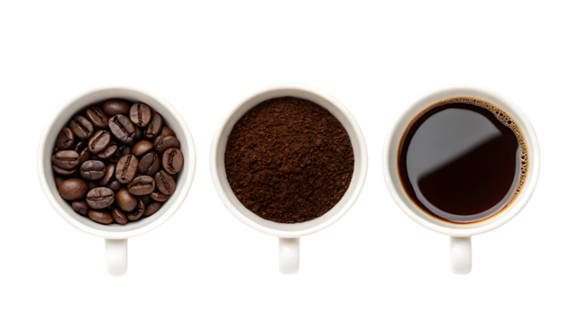 Coffee preparation stages: beans, ground, and brewed coffee in white cups on transparent background