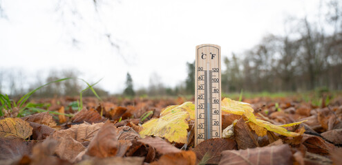 Thermometer with autumn foliage, fall season, measure the temperature, weather forecast, cold rainy day