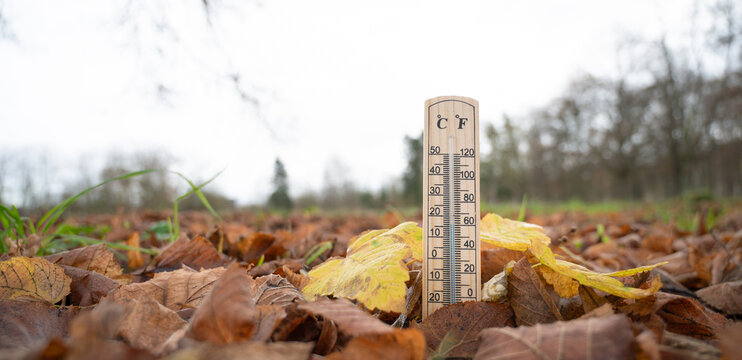 Thermometer with autumn foliage, fall season, measure the temperature, weather forecast, cold rainy day