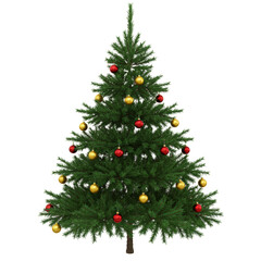 Isolated Pine Christmas Tree with Red and Gold Ornaments PNG Background