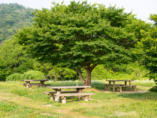 ピクニックテーブルが並ぶ山のハイキングコース
