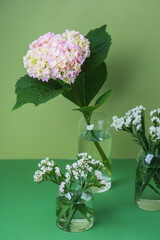 Floral trio arrangement with hydrangea and statice – suitable for lifestyle or floral editorial design