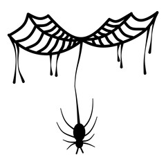 Spider web icon