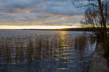Calm sunset glow reflected on lake water with bare trees and dramatic clouds. Tranquil sunset scene, soft golden reflections on rippling water, low angle, lakeside serenity, peaceful atmosphere, moody