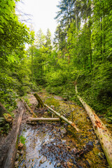 Waterfall with ladder in canyon, sucha bela in Slovak Paradise or Slovensky Raj National Park in Slovakia.