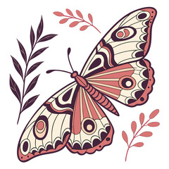 Decorative Butterfly Illustration with Intricate Patterns

