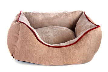 cushion for dog