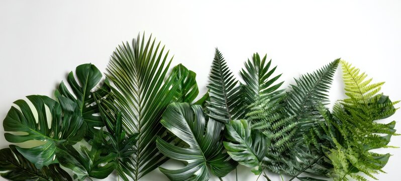 The Lush Greenery of Tropical Leaves in a Minimalist Arrangement - Powered by Adobe