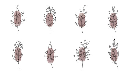 Bohemian Minimalist Line Art Botanical Plants with Muted Blush Abstract Shapes for Modern Designs