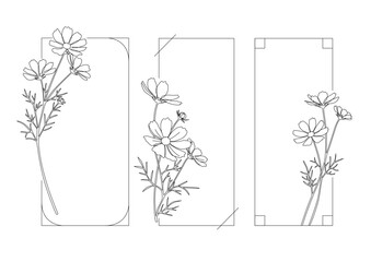 コスモスのシンプル縦枠01