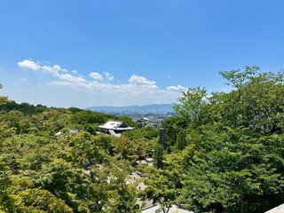 Landscape of the Kyoto Japan greens park