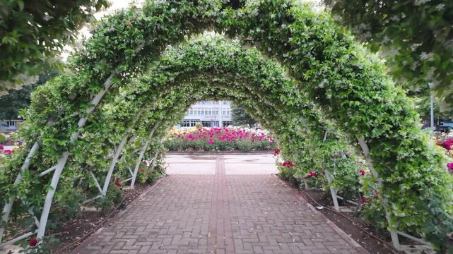 Rose garden of Pogradec, Albania. - June 12, 2025.  One of the most relaxing places in the city surrounded by beautiful red rose just beside the theatre.