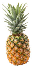 Fototapeta premium Ripe Pineapple With Leaf Crown