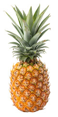 Fototapeta premium Ripe Pineapple With Leaf Crown