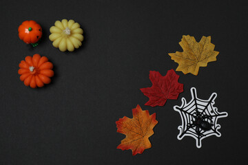 Halloween with skull, ticks, orange maple leaves, bats, spiders on black background with space for...