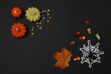 Halloween with skull, ticks, orange maple leaves, bats, spiders on black background with space for...