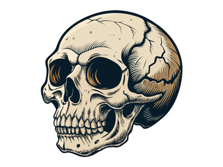 Obraz premium skull